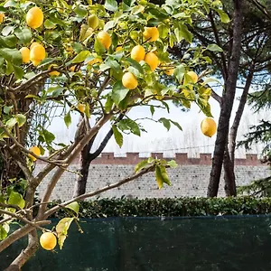Lemon House Yellow Pise